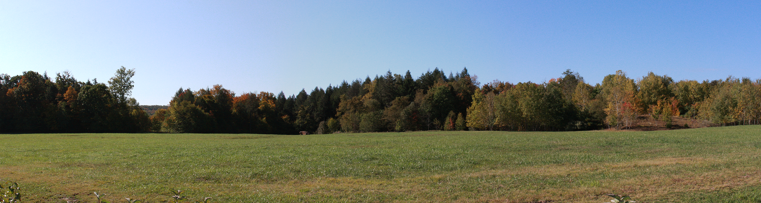 Park Panorama