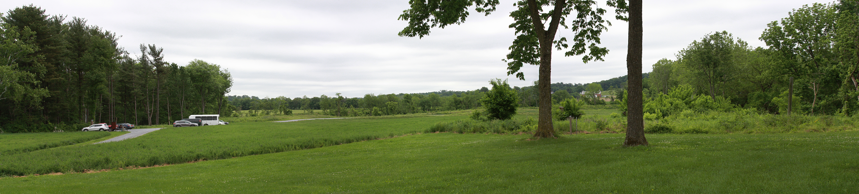 Park Panorama