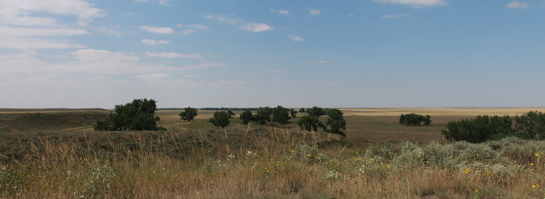 Park Panorama