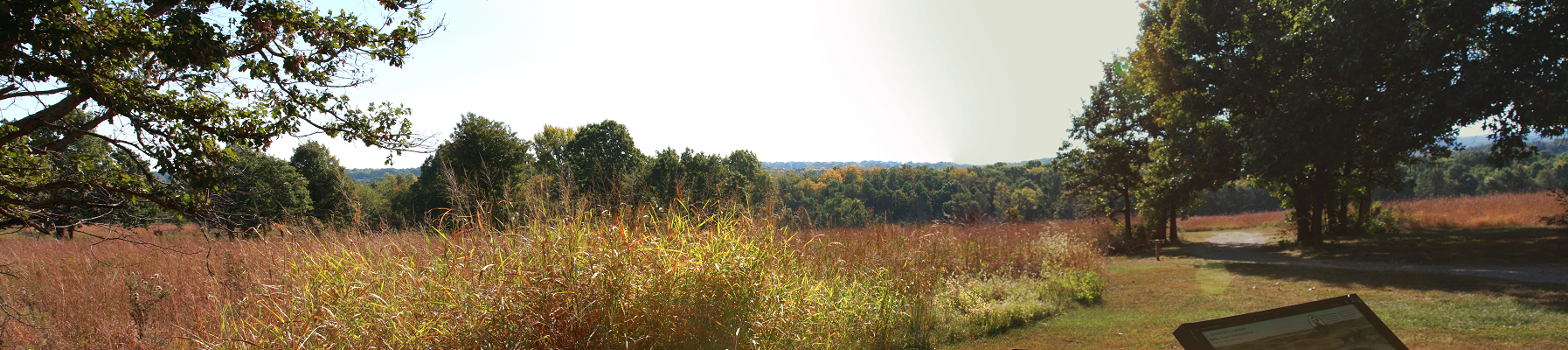 Park Panorama